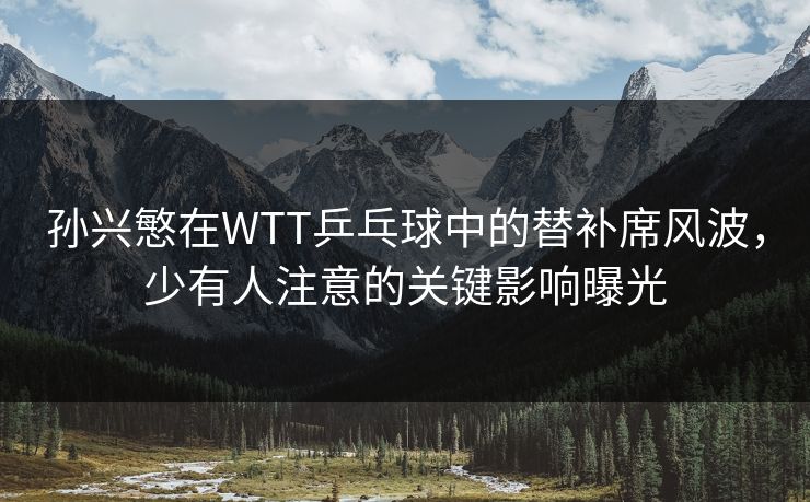 孙兴慜在WTT乒乓球中的替补席风波，少有人注意的关键影响曝光